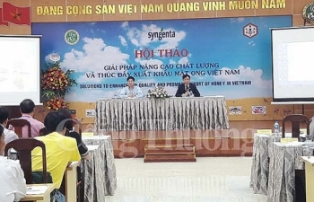 Nâng cao chất lượng và thúc đẩy xuất khẩu mật ong Việt Nam