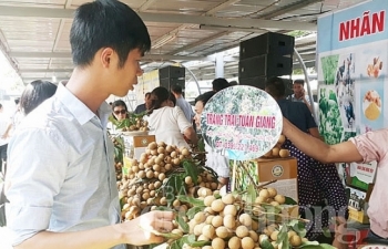 Quảng bá giới thiệu nhãn Hưng Yên tại siêu thị Big C