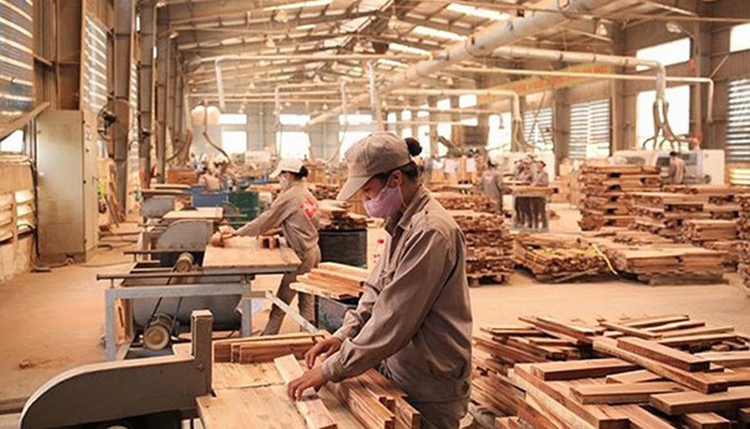 Phấn đấu đến năm 2025, giá trị gỗ, sản phẩm gỗ tiêu thụ nội địa đạt 5 tỷ USD