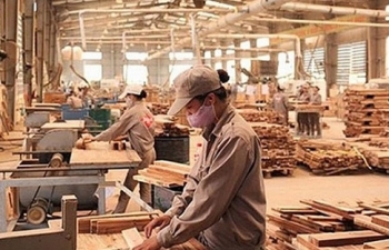 Xuất khẩu gỗ và sản phẩm gỗ đạt 6,66 tỷ USD