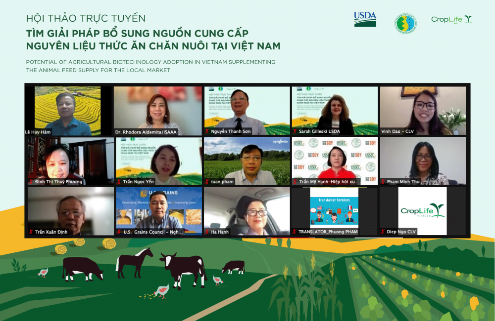 Cần chiến lược cho nguyên liệu thức ăn chăn nuôi tại Việt Nam