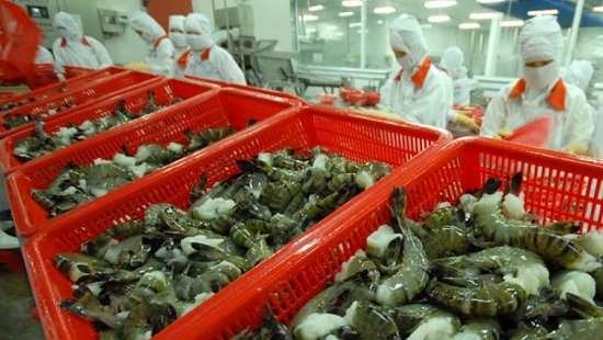 Tháng đầu năm 2024, Trung Quốc là thị trường lớn nhất của tôm, cá tra Việt Nam