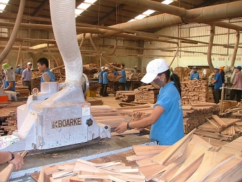 Liên kết thúc đẩy phát triển ngành gỗ bền vững