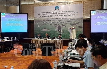 Hợp tác công tư: Thúc đẩy và nâng cao năng lực cạnh tranh cho sản phẩm sữa Việt