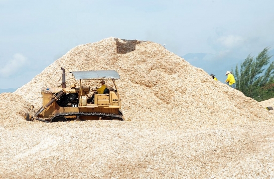 Ngành dăm gỗ: Mất cân đối giữa các vùng nguyên liệu rừng trồng và năng lực chế biến sâu