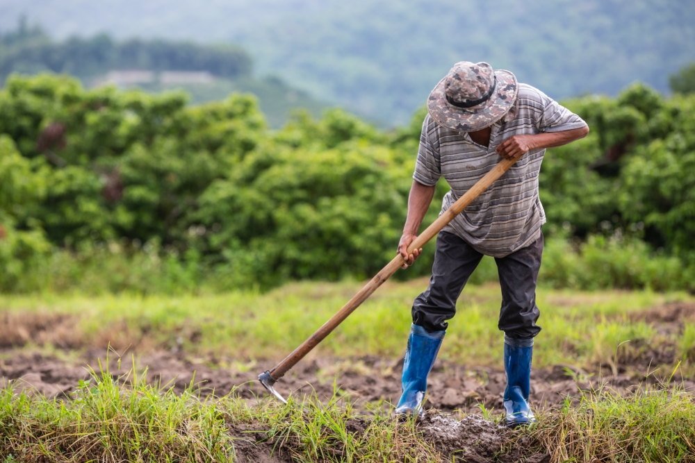 Những nông dân trồng trọt ở Indonesia, Philippines, Thái Lan và Việt Nam ngày càng bị ảnh hưởng bởi tác động của biến đổi khí hậu (Nguồn: CropLife Quốc tế)