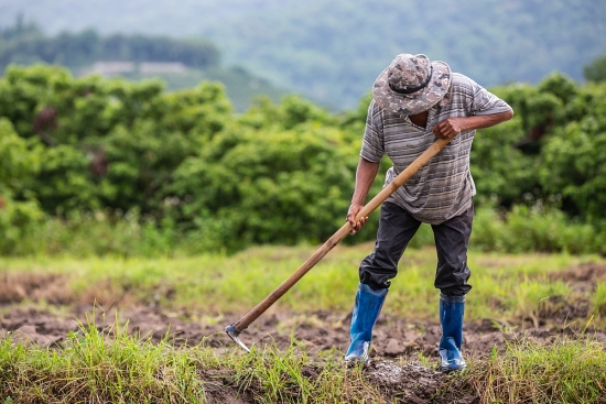 Ngân hàng Phát triển châu Á tài trợ hàng tỷ USD chống biến đổi khí hậu