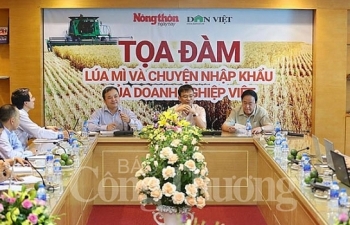 “Lúa mì và chuyện nhập khẩu của doanh nghiệp Việt”