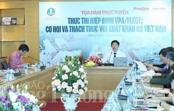 Thực thi Hiệp định VPA/FLEGT kỳ vọng sẽ mang lại tác động kép cho ngành gỗ Việt