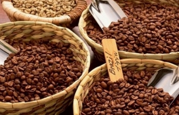 Xuất khẩu cà phê 9 tháng năm 2019 đạt 2,15 tỷ USD