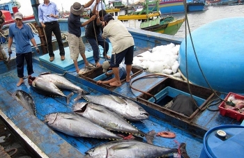 Đến tháng 5/2023, cần chấm dứt tàu cá khai thác hải sản bất hợp pháp