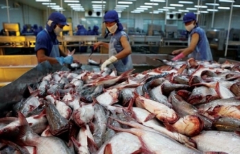 Nhu cầu xuất khẩu đẩy giá tôm và cá tra trong nước tăng cao vào cuối năm