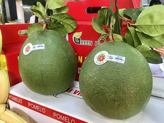 Mở cửa thị trường cho quả bưởi và chanh sang New Zealand