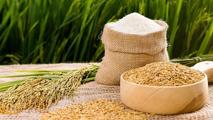 Giá gạo xuất khẩu sẽ tiếp tục tăng?