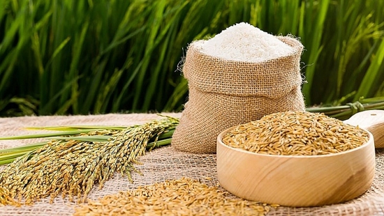Giá lúa gạo hôm nay ngày 26/11 và tổng kết tuần qua: Giá lúa tăng từ 100-200 đồng/kg