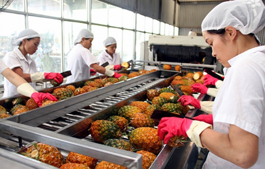 Hoa Kỳ tăng nhập khẩu rau quả từ thị trường Việt Nam