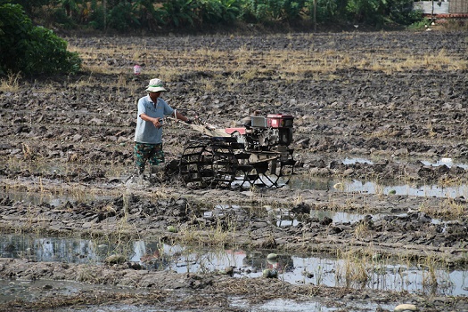 Ngân hàng Thế giới hỗ trợ Việt Nam phát triển khu vực nông thôn