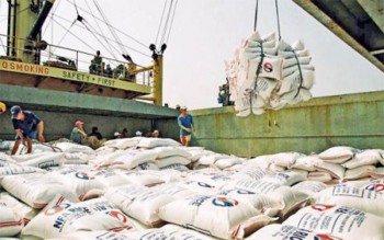Bãi bỏ Quy hoạch Thương nhân kinh doanh xuất khẩu gạo