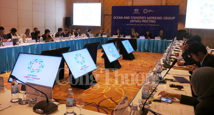 Khai mạc phiên họp toàn thể của các Ủy ban APEC