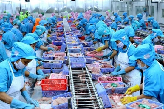 Tình hình xuất nhập khẩu của Việt Nam với thị trường  khu vực châu Á – châu Phi năm 2021