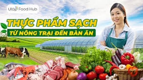 FoodHub.vn - Nền tảng thực phẩm sạch chuyên dụng cho người Việt