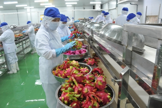 Xuất khẩu nông sản sang Trung Quốc: Linh hoạt thích ứng