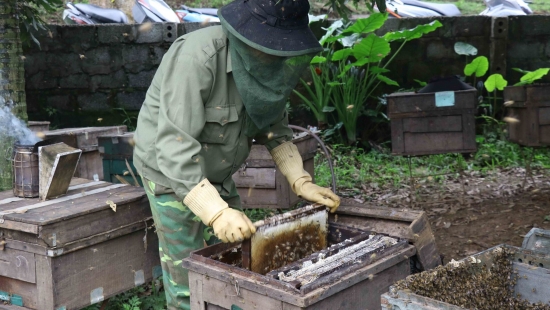 Người nuôi ong kỳ vọng vào Bộ trưởng Bộ Công Thương