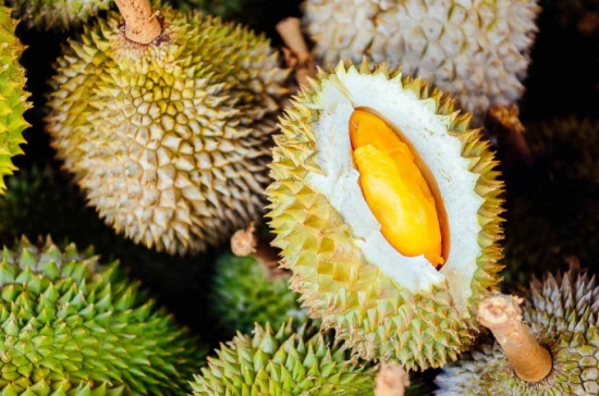 Thái Lan muốn họp với Việt Nam, Trung Quốc, Lào để tăng thương mại trái cây