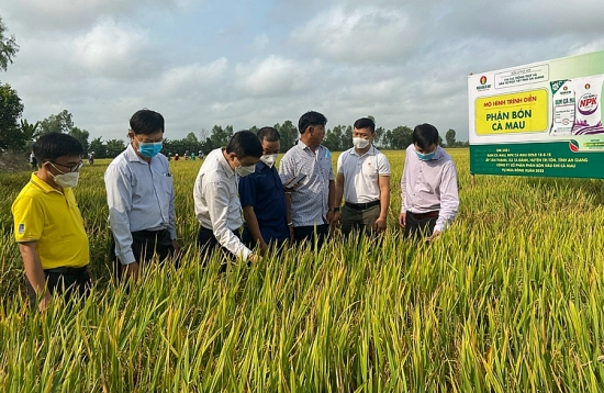 NPK Cà Mau: Nỗ lực đồng hành cùng nông dân Việt Nam