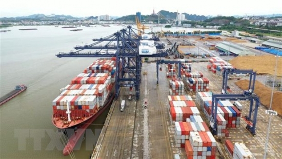 Phát triển đội tàu container: Tạo động lực thúc đẩy xuất nhập khẩu