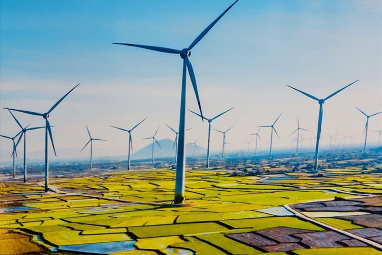 Trung Nam Group chuyển nhượng hơn 35% cổ phần nhà máy điện gió cho nhà đầu tư Nhật Bản