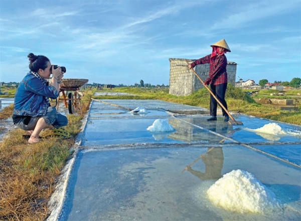 ngành muối Việt Nam