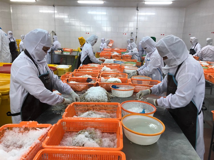 Thủy sản Việt Nam: Nhọc nhằn cạnh tranh tại thị trường RCEP