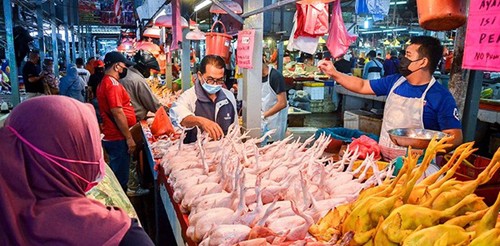 Chính phủ Malaysia nới lỏng lệnh cấm xuất khẩu thịt gà