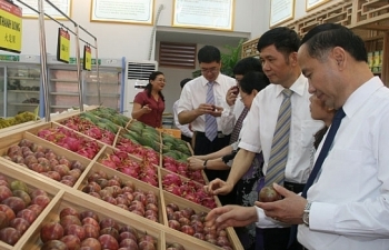 Quảng bá nông sản Sơn La: Thúc đẩy xuất khẩu chính ngạch