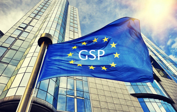 EU điều chỉnh các mức ưu đãi thuế quan GSP mới cho giai đoạn 2024-2034