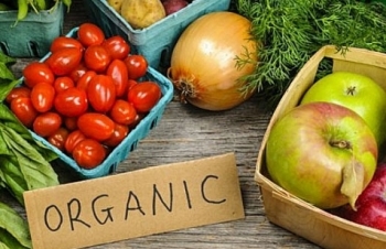 Sản phẩm Organic Việt Nam khẳng định chất lượng trên thị trường quốc tế