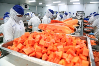 Xuất khẩu rau quả sang Trung Quốc giảm đà tăng trưởng