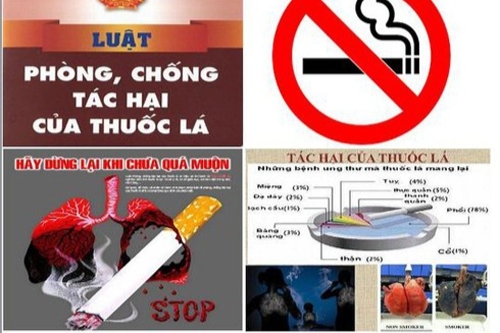 Hòa Bình: Tăng cường chỉ đạo phòng, chống tác hại thuốc lá