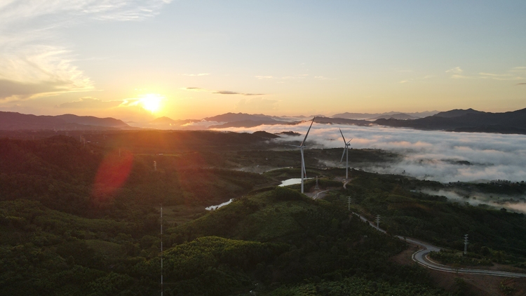 PCC1 chính thức vận hành thương mại cụm nhà máy điện gió tại Quảng Trị