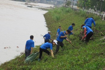 Tháng hành động vì môi trường đã tạo được dấu ấn