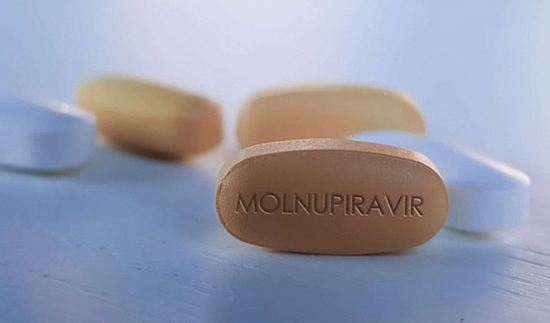 Đưa thuốc kháng virus Molnupiravir vào điều trị F0 trong cộng đồng