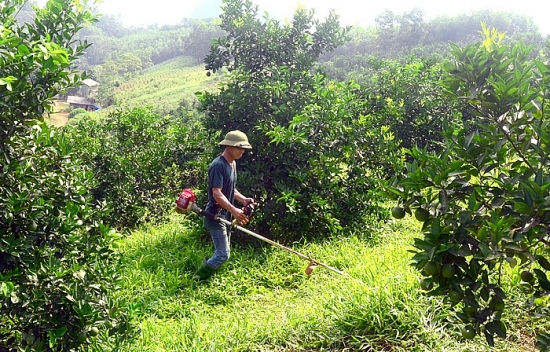 Ngành nông nghiệp: Nguy cơ tai nạn lao động không nhỏ