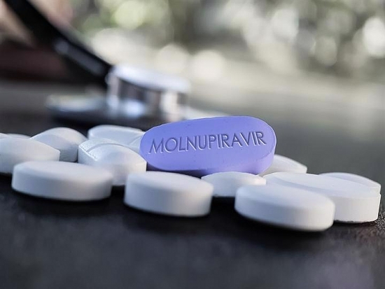 Thí điểm điều trị có kiểm soát thuốc molnupiravir