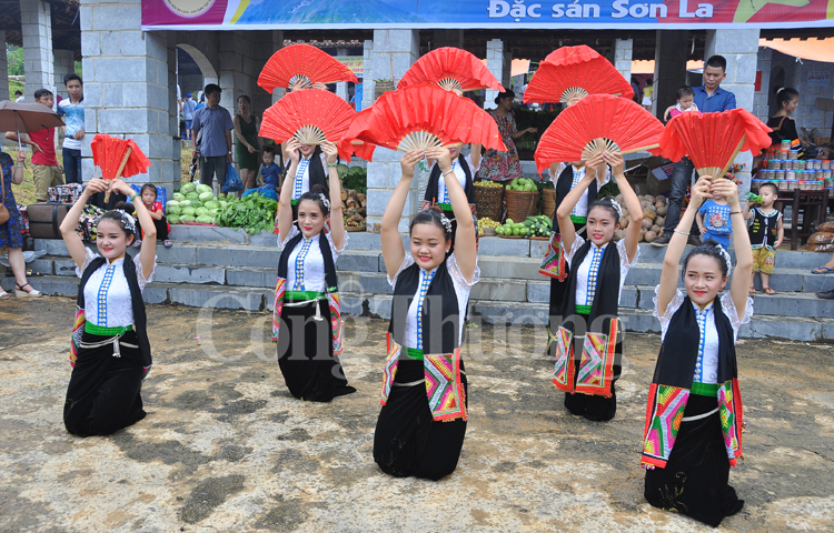 Ngày hội sắc màu các dân tộc Việt Nam