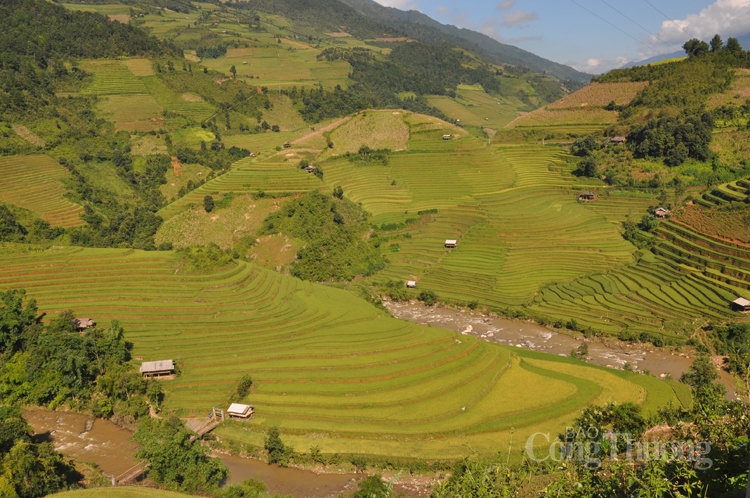 dam say canh sac vung cao phia bac