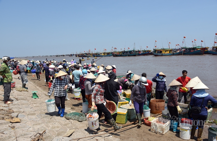 Nhộn nhịp chợ cá Giao Hải