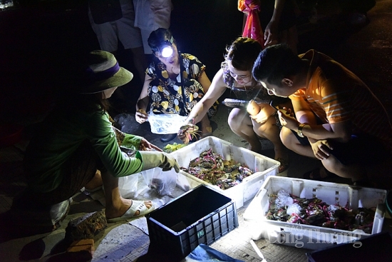 Chợ cá đảo Quan Lạn và những chiếc đèn pin