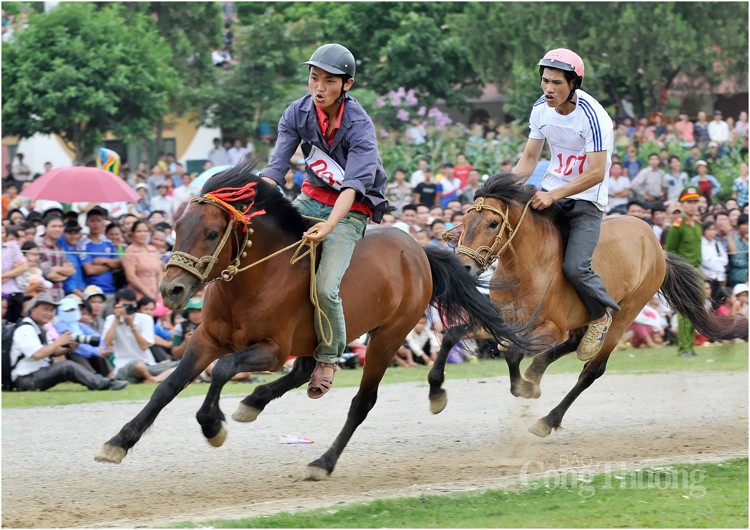 Độc đáo Lễ hội đua ngựa Bắc Hà