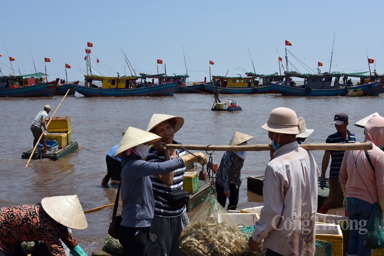 Ngư dân huyện Giao Thủy phấn khởi vì được mùa cá khoai